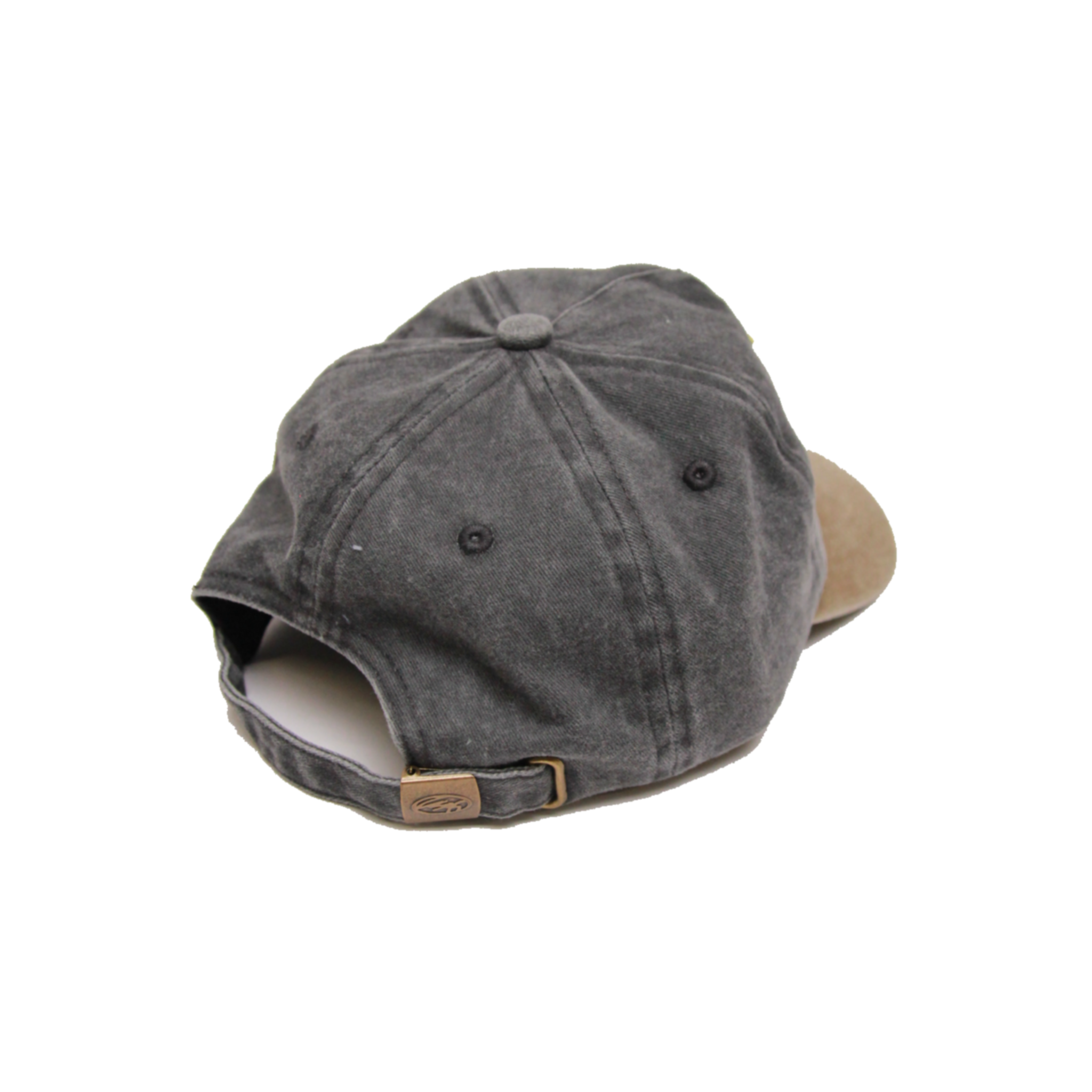CAP - DESERT